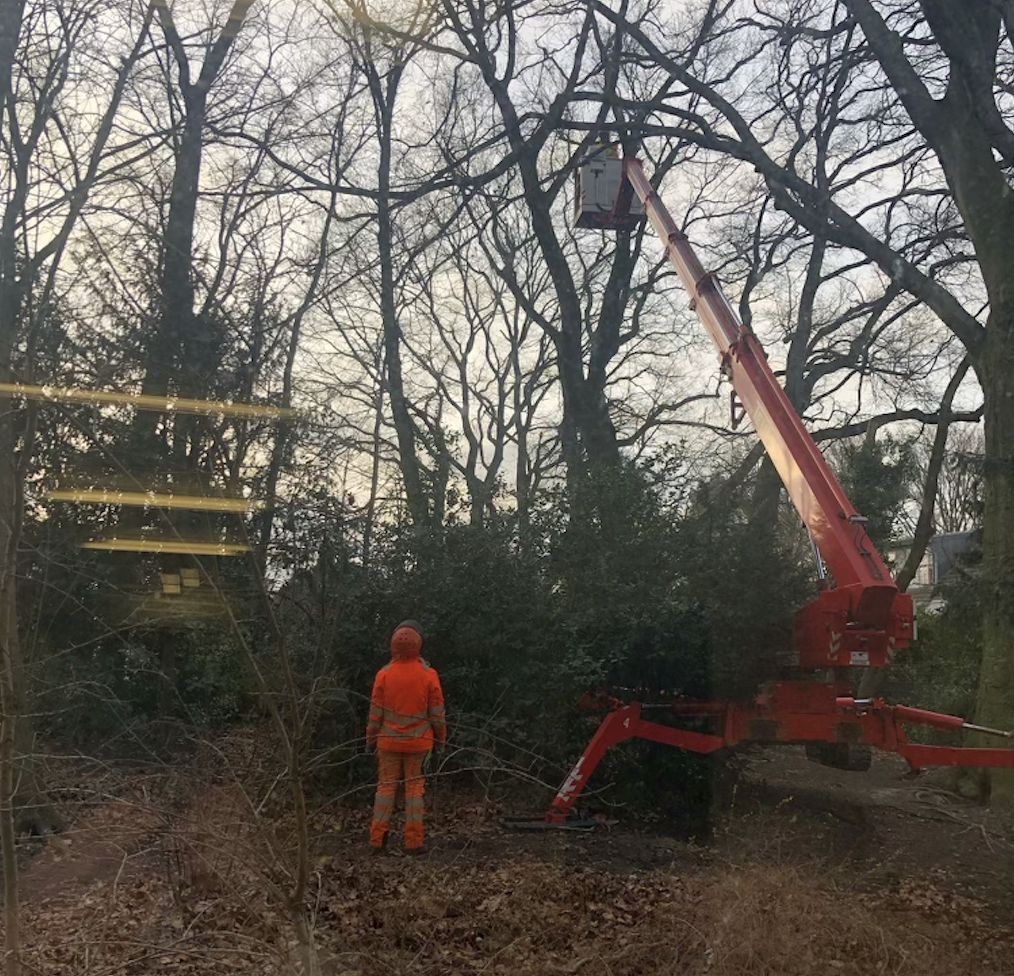 Ein Baum wird gefällt…